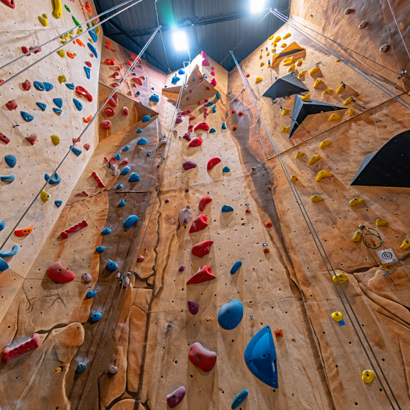 MIZONE Multifunctional Climbin - Kids Outdoor Climbing Equipment 评论和价格