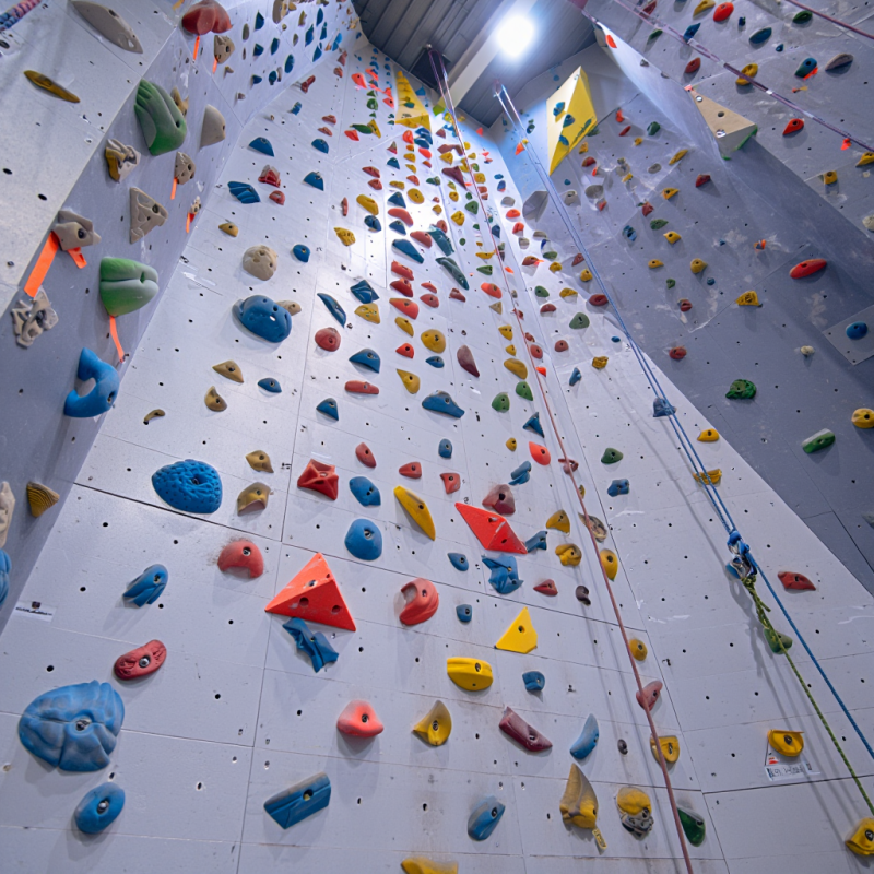 MIZONE Multifunctional Climbin - Kids Outdoor Climbing Equipment 评论和价格