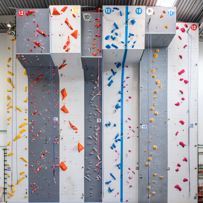 MIZONE Multifunctional Climbin - Kids Outdoor Climbing Equipment 评论和价格