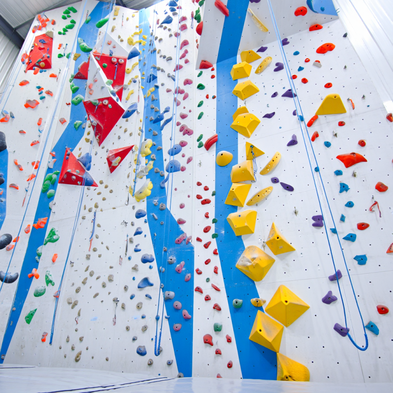 MIZONE Multifunctional Climbin - Kids Outdoor Climbing Equipment 评论和价格