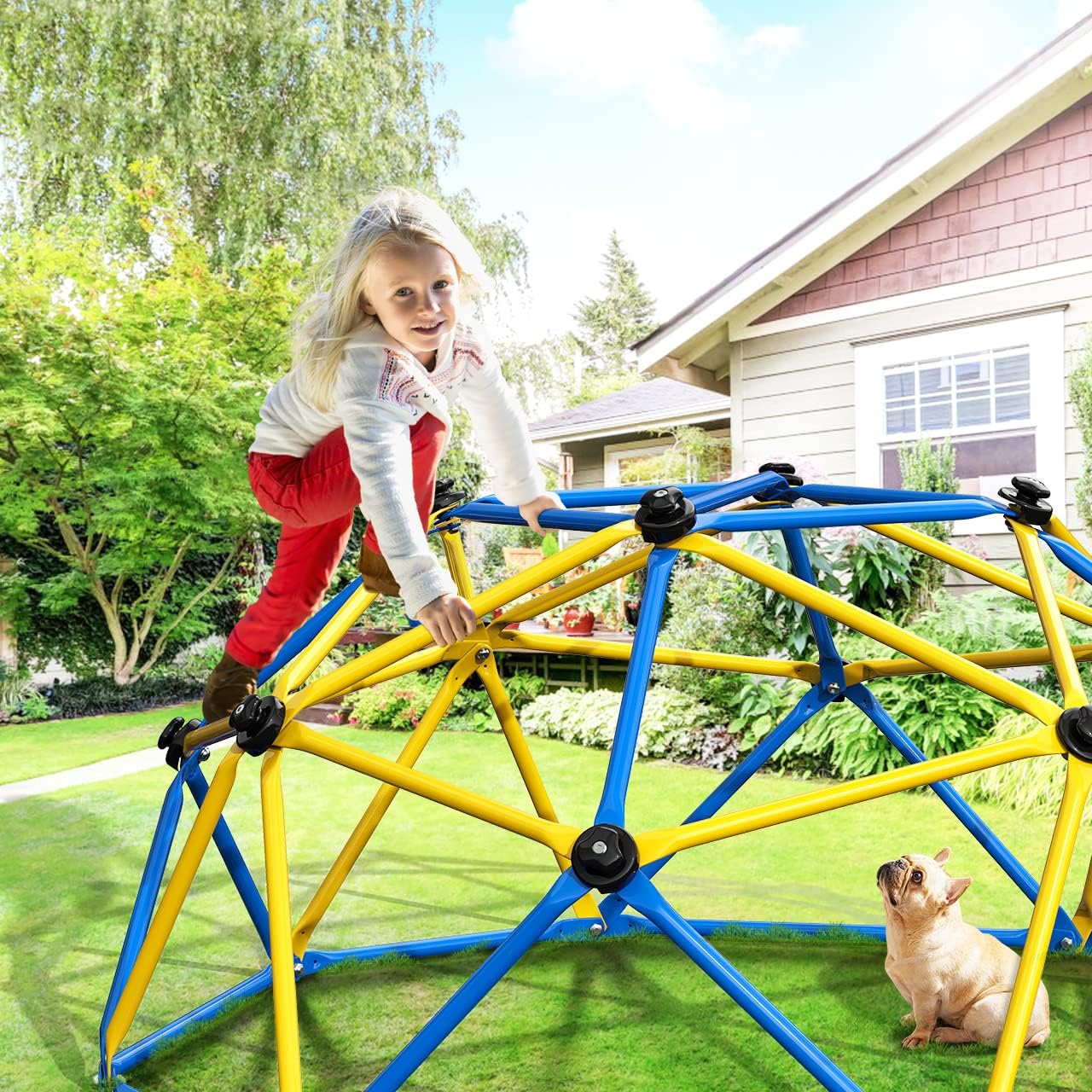 Climbing Dome, Upgraded 6FT Ge - Kids Outdoor Dome Climber 评论和价格